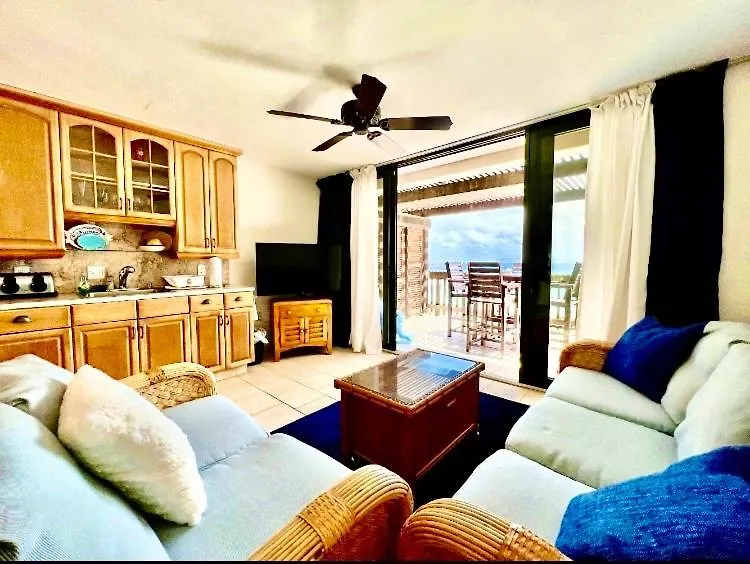 Appartamento Sapphire Beach-Beachfront Condo Sale - View Of Paradise Nazareth Isole Vergini (US)